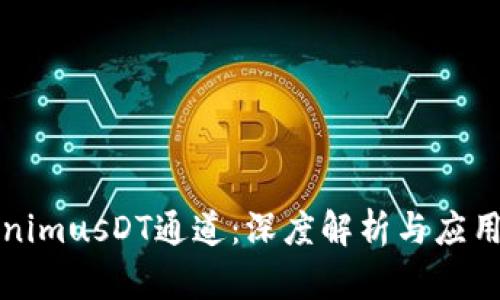 TokenimusDT通道：深度解析与应用指南