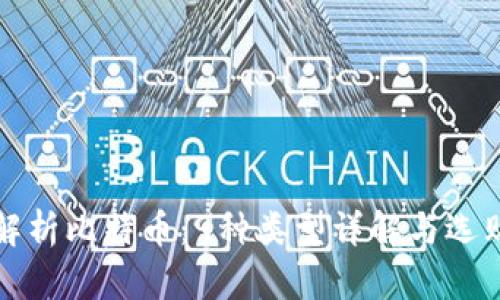 全面解析比特币：9种类型详解与选购指南