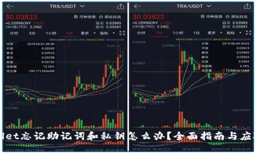 tpWallet忘记助记词和私钥怎么办？全面指南与应对策略